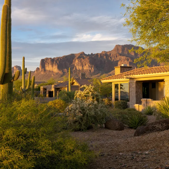 Saguaro cactus in front of the Superstition Mountains at sunset